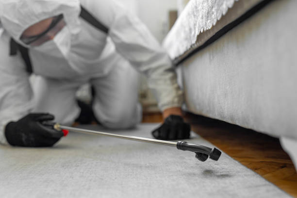 Professional Bed Bug Control technician working in New Boston, TX