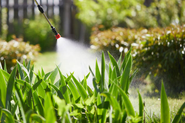 24/7 Emergency Bed Bug Control experts in New Boston, TX