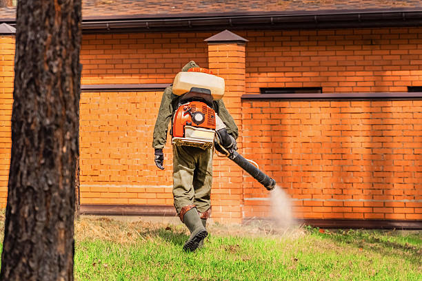 Top rated local Bed Bug Control specialists in New Boston, TX